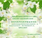 ֹ,д󷨵ӹʦ𻪵߷ִգ22
