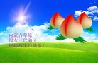 ֹ,ɹŴ󷨵ӹʦ𻪵߷ִ(17)
