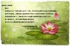 法轮功,重庆大法弟子恭贺师尊华诞暨法轮大法日（21条）
