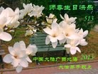 ֹ,󷨵ӹʦ𻪵߷ִգ27
