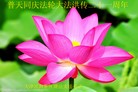 ֹ,󷨵ӹʦ𻪵編ִգ19
