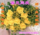 法轮功,湖南大法弟子恭贺师尊华诞暨世界法轮大法日（20条）
