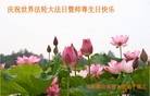 ֹ,Ϋ󷨵ӹʦ𻪵編ִգ18
