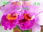 ֹ,ϴ󷨵ӹʦ𻪵編ִգ20
