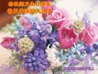 Published on 5/13/2013 ֹ,ϴ󷨵ӹʦ𻪵߷ִ(26)
