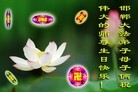ֹ,ӱ󷨵ӹʦ𻪵編ִգ22

