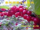 ֹ,Ϻ󷨵ӹʦ𻪵編ִգ18
