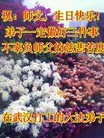 ֹ,人󷨵ӹʦ𻪵߷ִ(26)
