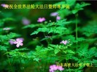 ֹ,Ϋ󷨵ӹʦ𻪵編ִգ18
