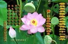 ֹ,ӱ󷨵ӹʦ𻪵編ִգ22

