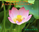 ֹ,ϴ󷨵ӹʦ𻪵߷ִ(26)
