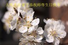 Published on 5/13/2013 ֹ,󷨵ӹʦ𻪵編ִ(18)
