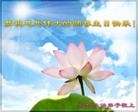 Published on 5/13/2013 ֹ,󷨵ӹʦ𻪵編ִ(18)
