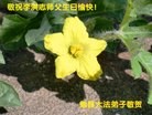 ֹ,󷨵ӹʦ𻪵߷ִգ28
