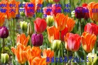 ֹ,󷨵ӹʦ𻪵߷ִգ37
