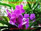Published on 5/13/2013 ֹ,ҵ󷨵ӹʦ𻪵߷ִ(47)
