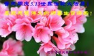 Published on 5/13/2013 ֹ,½󷨵ӹʦ𻪵߷ִ(47)
