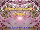 ֹ,ӱ󷨵ӹʦ𻪵߷ִգ24
