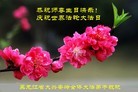Published on 5/13/2013 法轮功,黑龙江大法弟子恭贺师尊华诞暨法轮大法日(28条)
