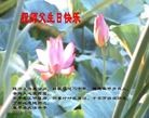 ֹ,󷨵ӹʦ𻪵߷ִգ30
