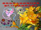 ֹ,󷨵ӹʦ𻪵ߴ󷨺鴫ʮ(19)
