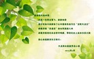 法轮功,重庆大法弟子恭贺师尊华诞暨大法洪传二十二周年(25条)
