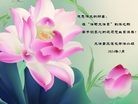 法轮功,重庆大法弟子恭贺师尊华诞暨大法洪传二十二周年(25条)
