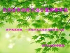 法轮功,吉林省大法弟子恭贺师尊华诞暨大法洪传二十二周年(22条)
