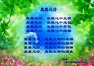 ֹ,󷨵ӹʦ𻪵ߴ󷨺鴫ʮ(18)
