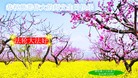 ֹ,󷨵ӹʦ𻪵ߴ󷨺鴫ʮ(23)
