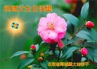 ֹ,ʴ󷨵ӹش󷨺鴫ʮʦ𻪵(27)
