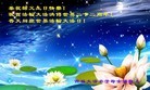 法轮功,吉林省大法弟子恭贺师尊华诞暨大法洪传二十二周年(21条)
