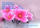 法轮功,吉林市大法弟子恭贺师尊华诞暨大法洪传二十二周年(20条)
