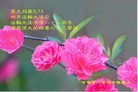 ֹ,д󷨵ӹʦ𻪵ߴ󷨺鴫ʮ(20)
