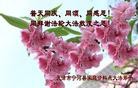 ֹ,󷨵ӹʦ𻪵ߴ󷨺鴫ʮ(21)
