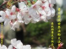 ֹ,󷨵ӹش󷨺鴫ʮʦ𻪵(27)
