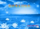法轮功,长春大法弟子恭贺师尊华诞暨大法洪传二十二周年(20条)
