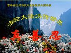法轮功,明真相世人恭贺师尊华诞暨大法洪传二十二周年(16条)
