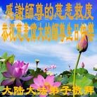 法轮功,长春大法弟子恭贺师尊华诞暨大法洪传二十二周年(20条)
