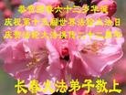 ֹ,󷨵ӹʦ𻪵ߴ󷨺鴫ʮ(20)
