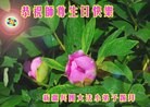 ֹ,Сӹʦ𻪵ߴ󷨺鴫ʮ(19)
