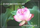 ֹ,ɽ󷨵ӹʦ𻪵ߴ󷨺鴫ʮ(22)
