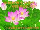 ֹ,㶫󷨵ӹʦ𻪵ߴ󷨺鴫ʮ(21)
