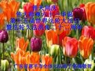 ֹ,㶫󷨵ӹʦ𻪵ߴ󷨺鴫ʮ(21)
