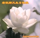 法轮功,吉林省大法弟子恭贺师尊华诞暨大法洪传二十二周年(21条)
