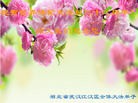 ֹ,󷨵ӹʦ𻪵ߴ󷨺鴫ʮ(23)
