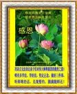 法轮功,吉林省大法弟子恭贺师尊华诞暨大法洪传二十二周年(21条)
