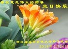 ֹ,㽭󷨵ӹʦ𻪵ߴ󷨺鴫ʮ(22)
