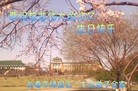 法轮功,长春大法弟子恭贺师尊华诞暨大法洪传二十二周年(20条)
