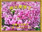 法轮功,长春大法弟子恭贺师尊华诞暨大法洪传二十二周年(20条)
